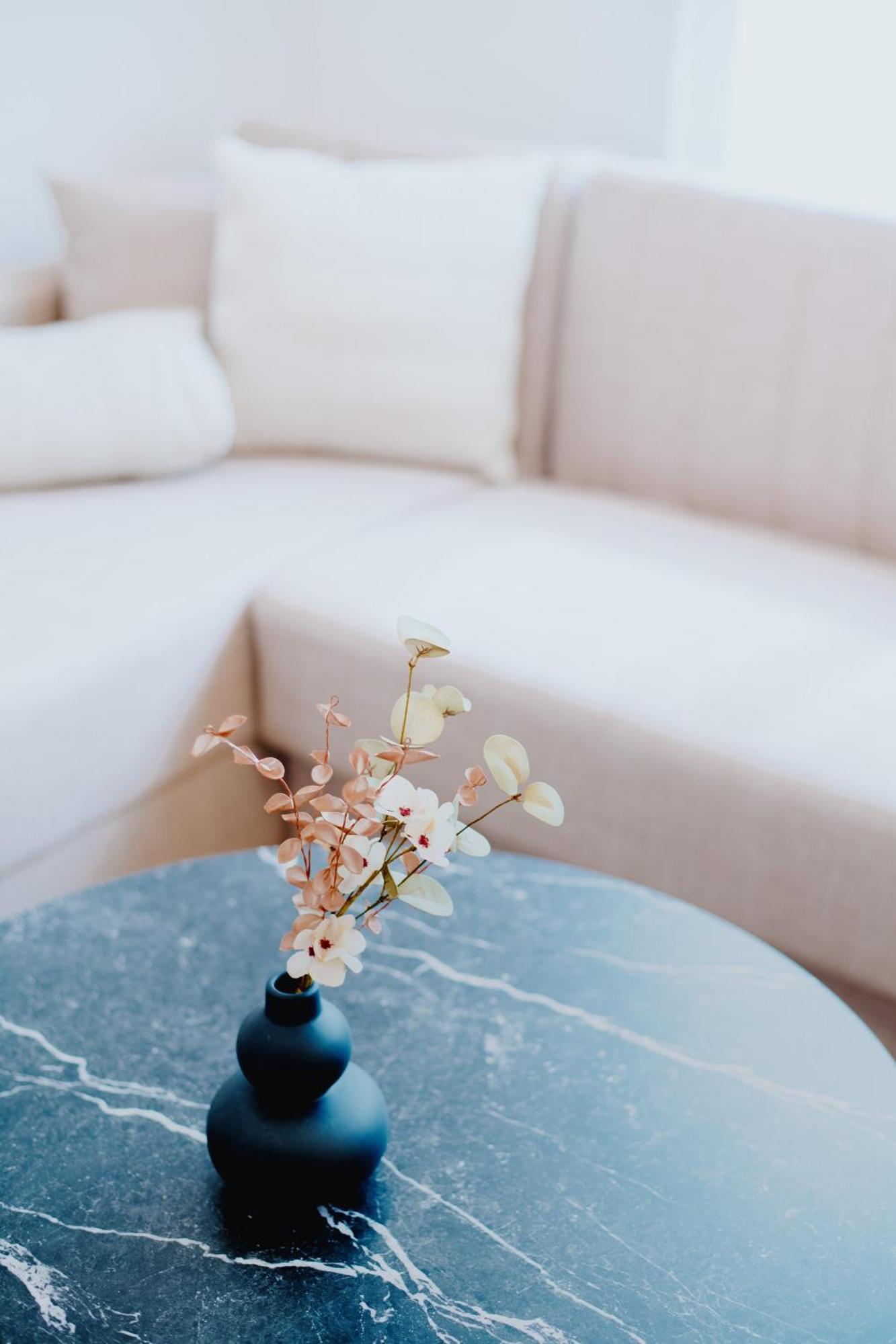 Euphoria Apartment 알렉산드로폴리스 외부 사진